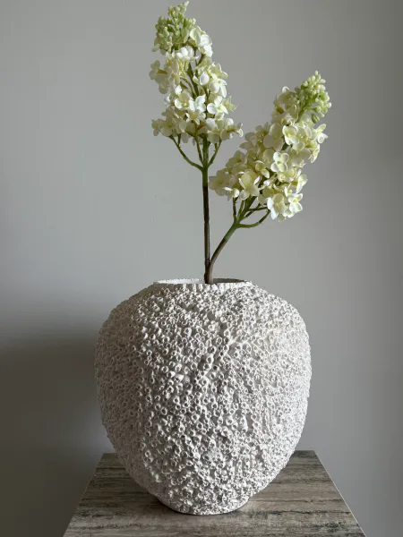 Hovedbilde Syrinhortensia krem hvit 