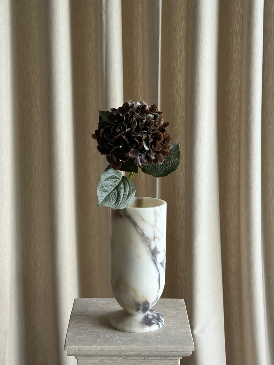Hortensia Mørk brun