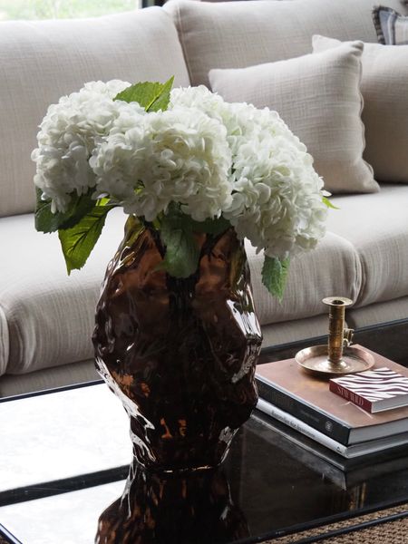 Hovedbilde Hortensia Hvit 