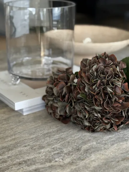 Hovedbilde Hortensia Mørk brun